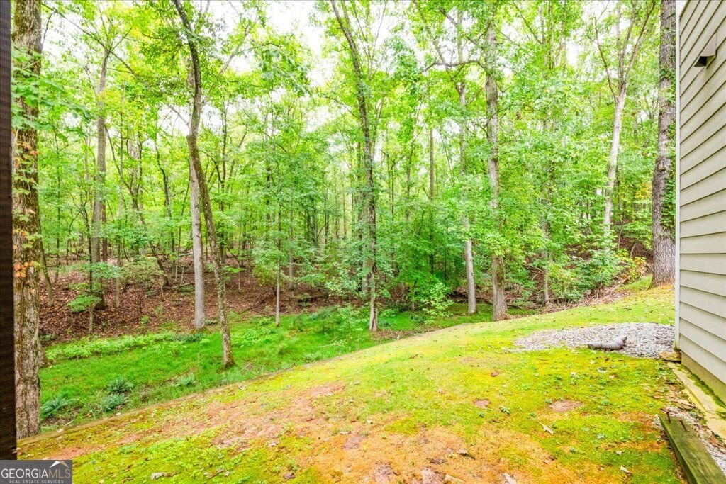 5601 Fox Glove Court Douglasville - Photo 73