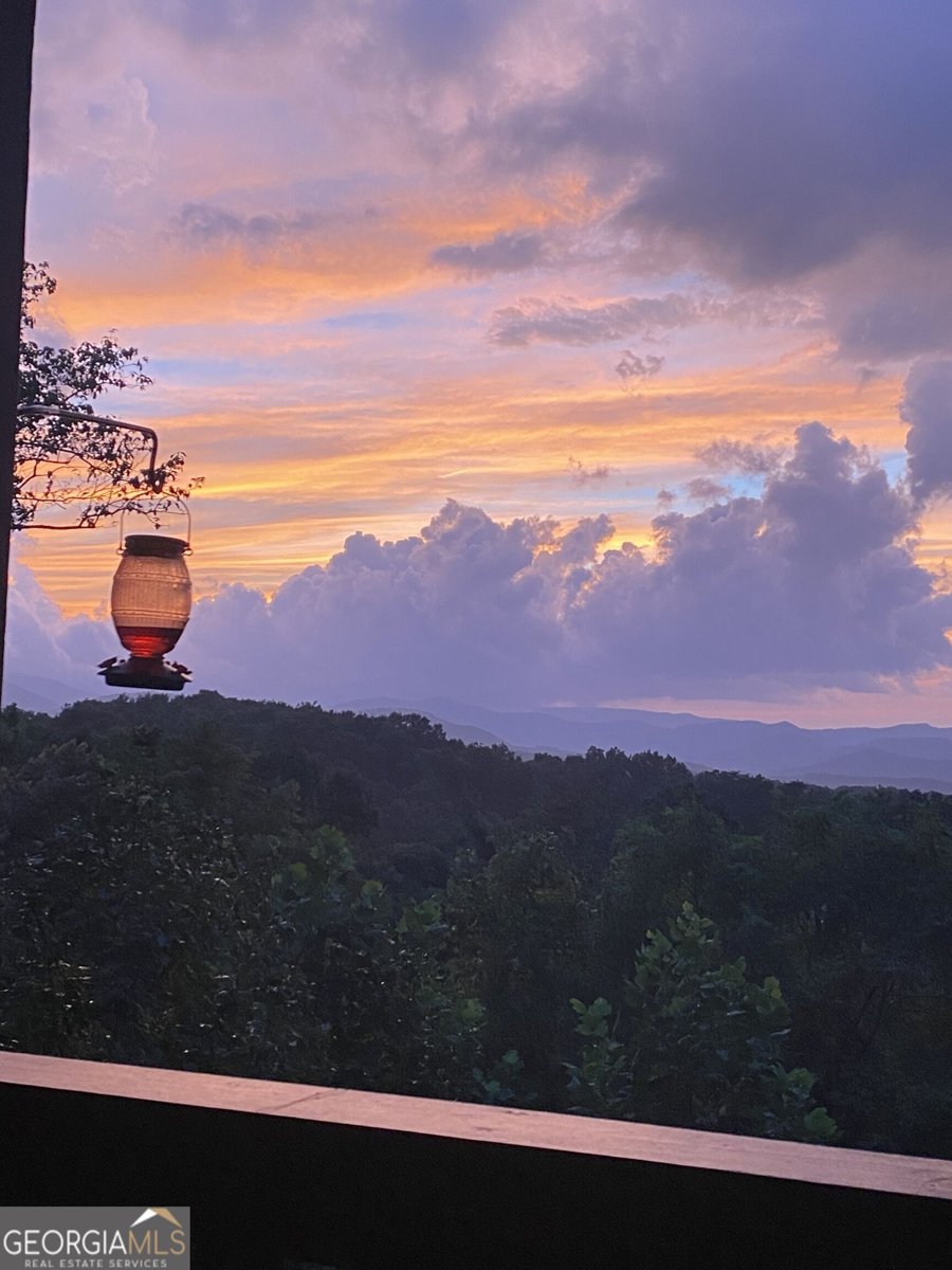 208 Cohutta Overlook Drive Blue Ridge - Photo 50