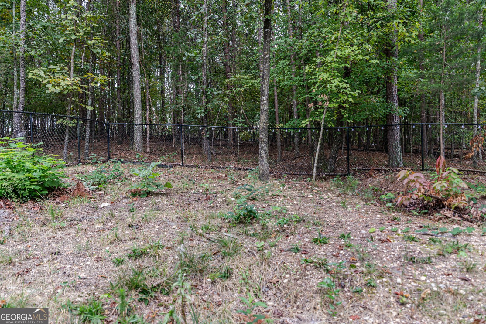 1241 Henderson Circle Lyerly - Photo 8