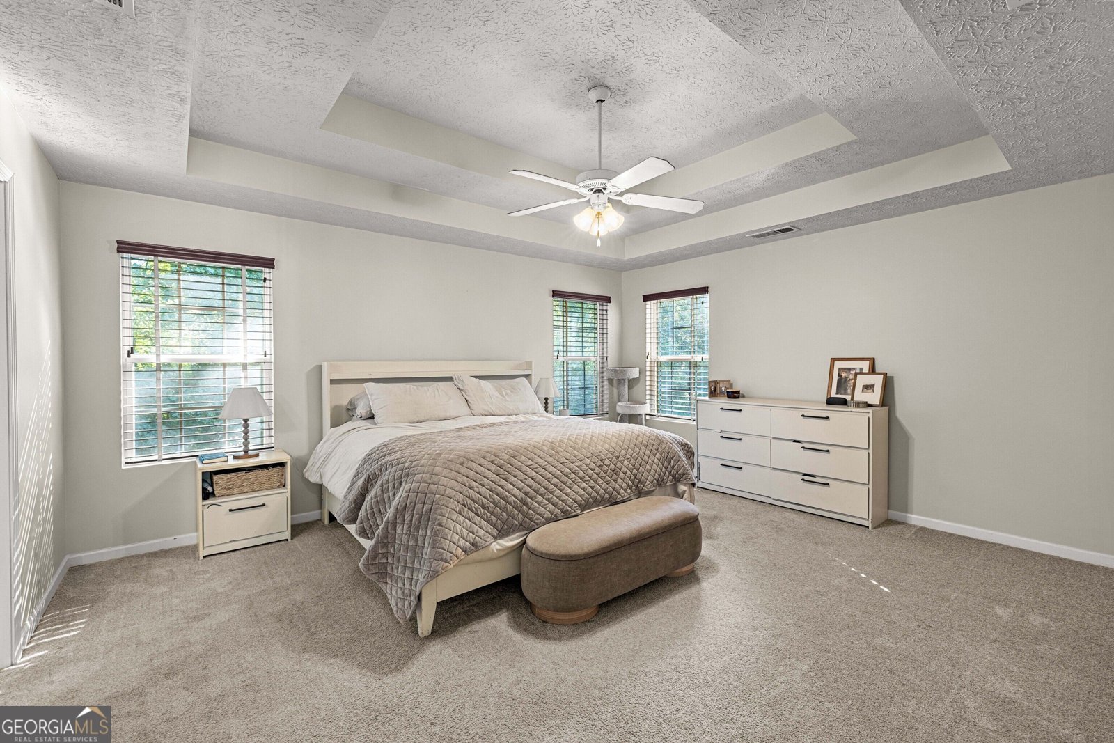 42 Bill Estes Road Senoia - Photo 29