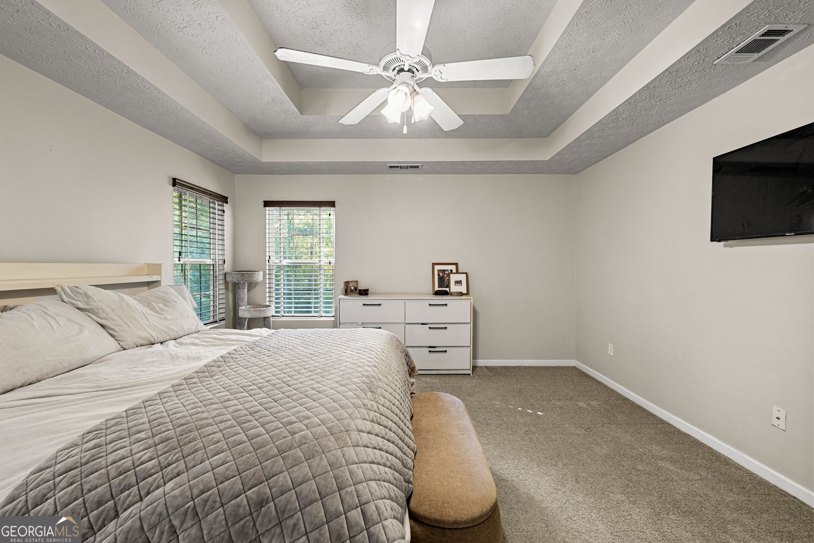 42 Bill Estes Road Senoia - Photo 30
