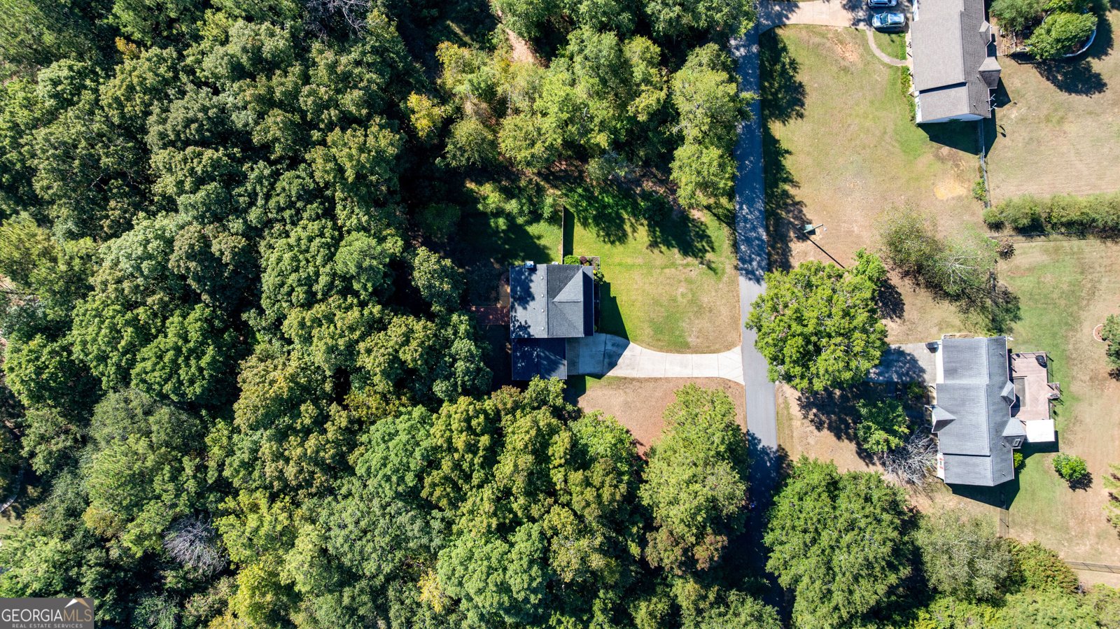 42 Bill Estes Road Senoia - Photo 48