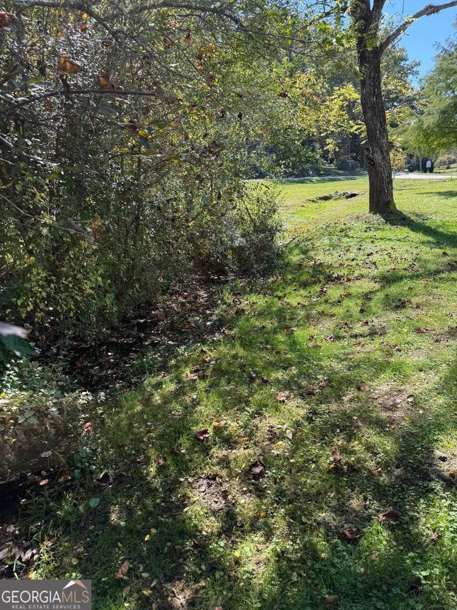 211 Blair Street Tiger - Photo 23