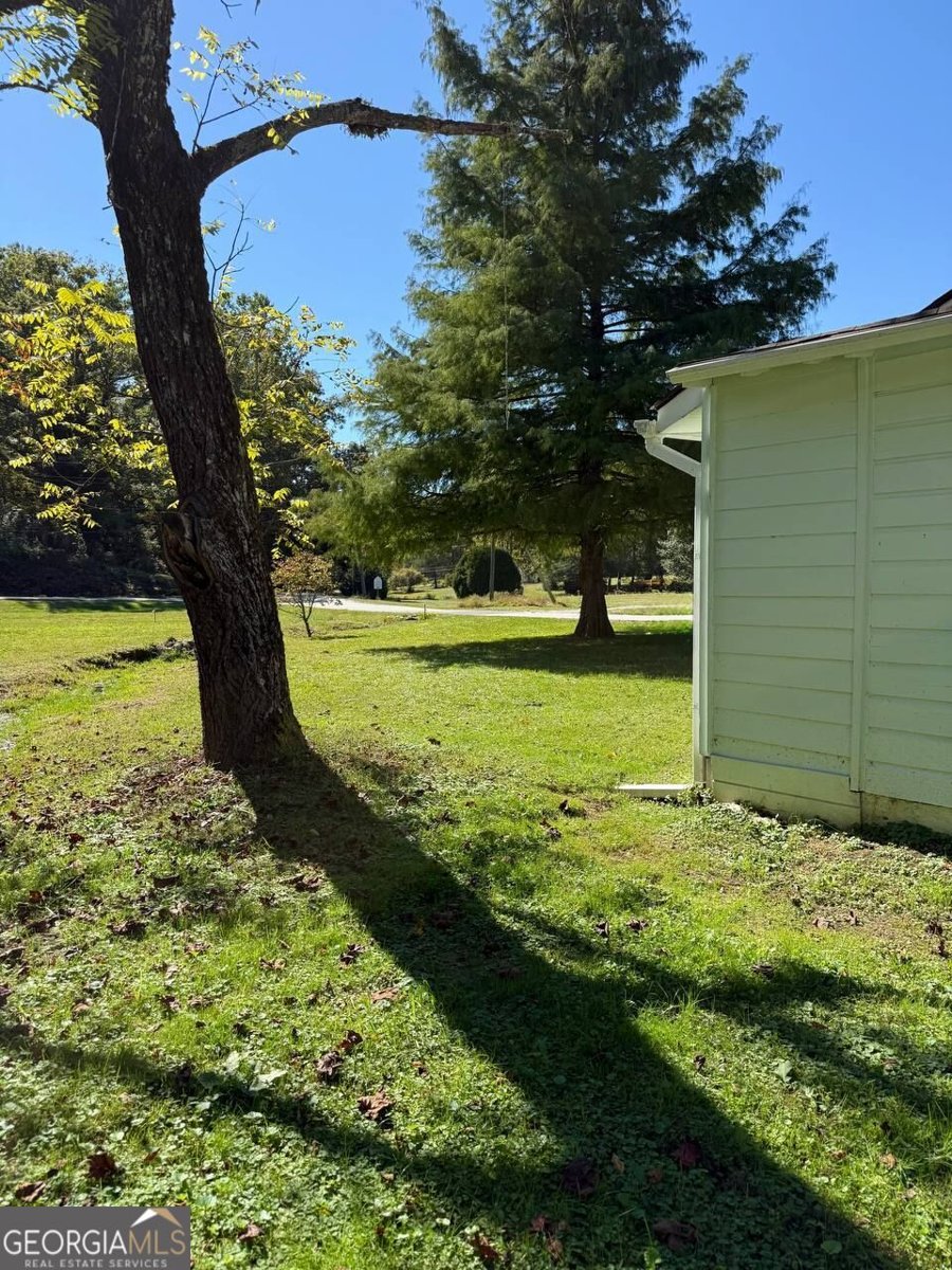 211 Blair Street Tiger - Photo 26