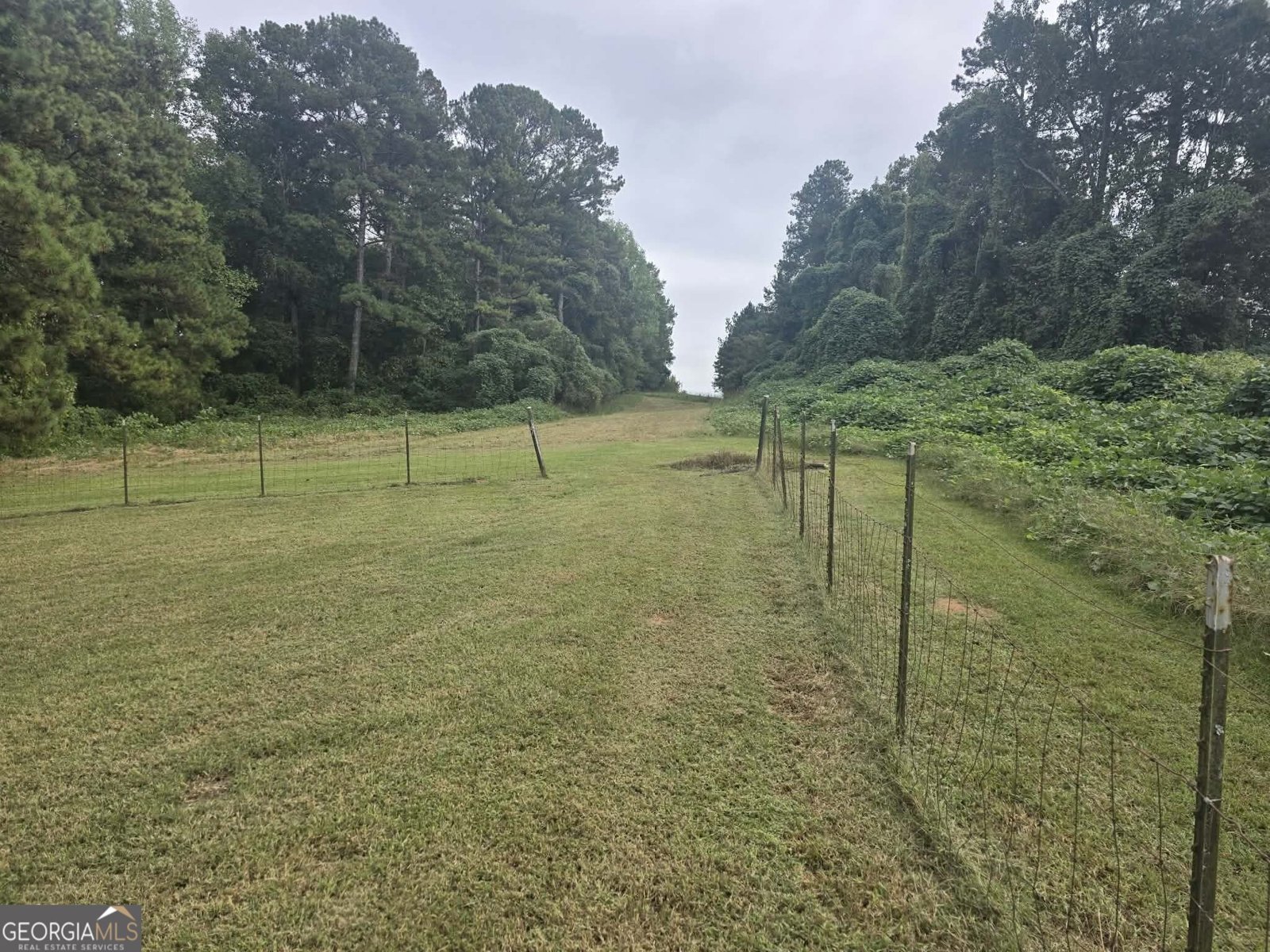 70 Arnold Road Hampton - Photo 18