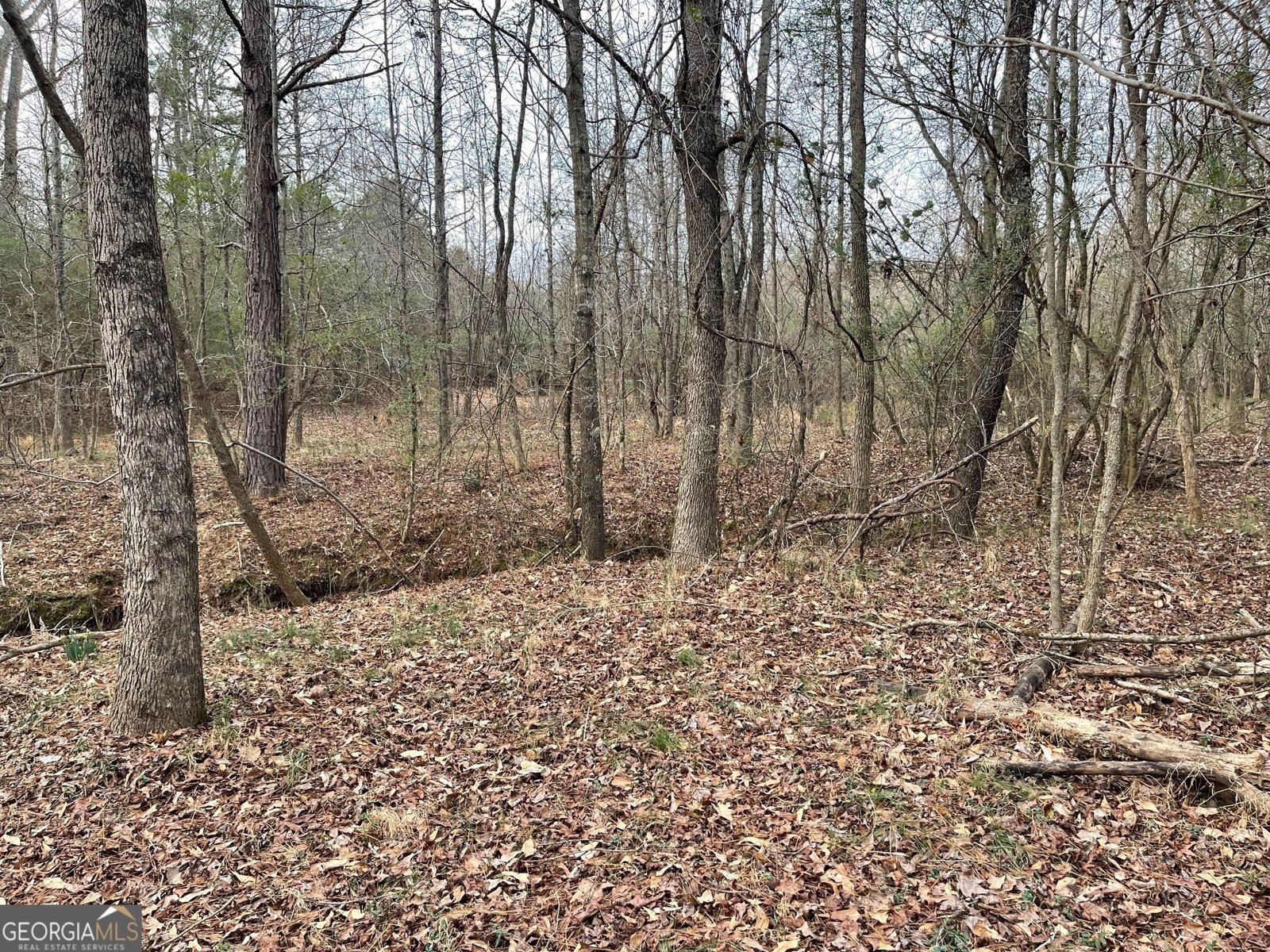 884 Jackson Trail Road Winder - Photo 11