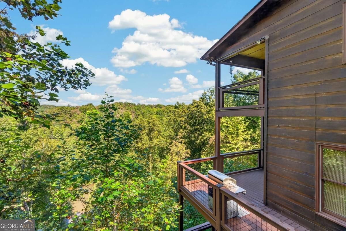 800 Mango Lane Ellijay - Photo 54