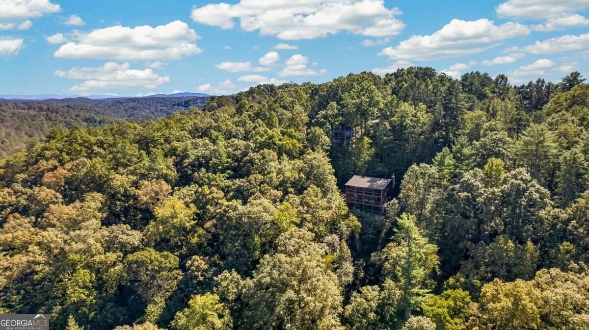 800 Mango Lane Ellijay - Photo 58