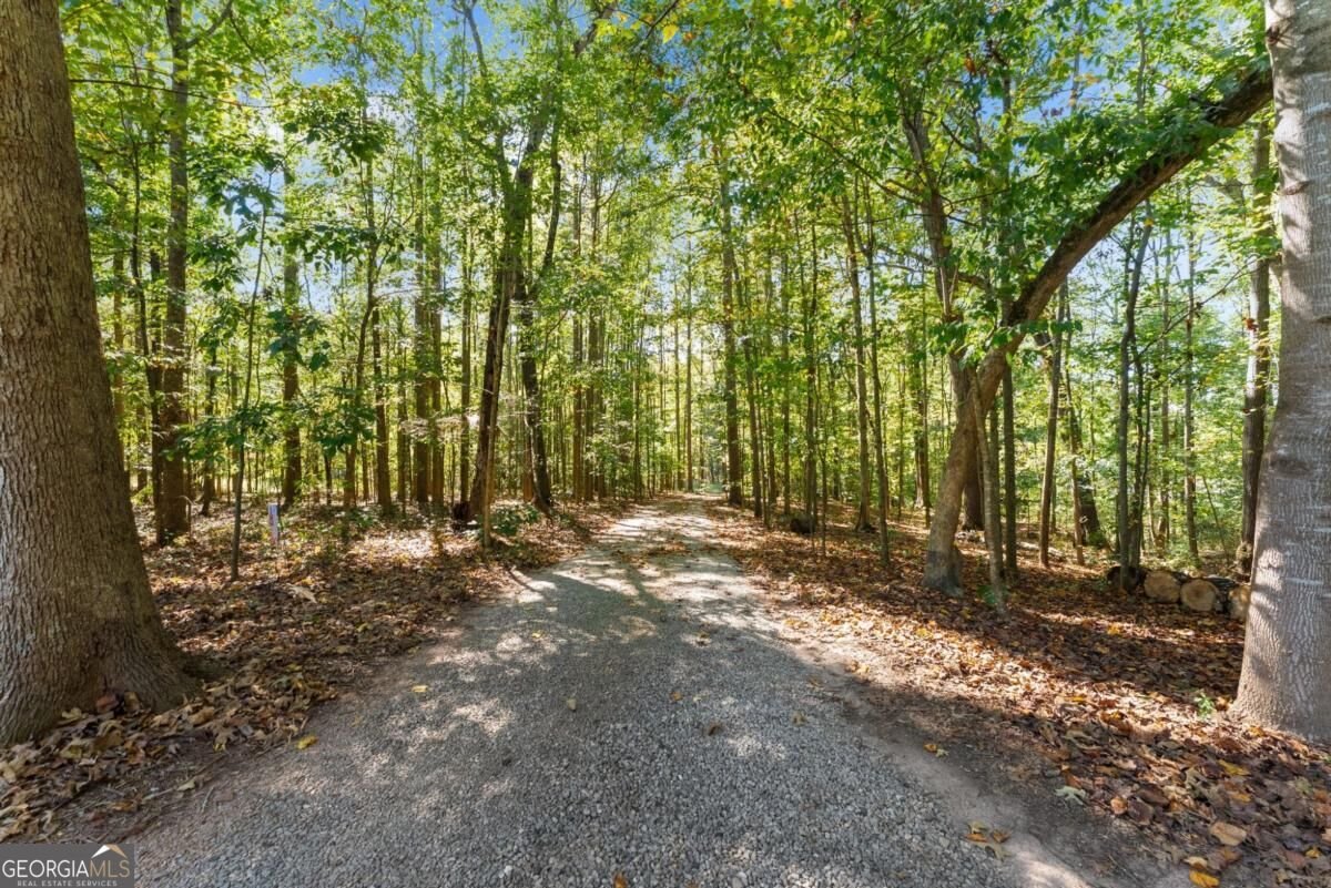 1120 Ridgewood Drive Pendergrass - Photo 50