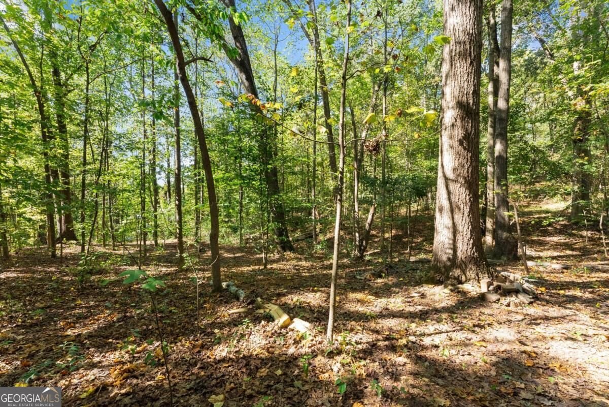 1120 Ridgewood Drive Pendergrass - Photo 53
