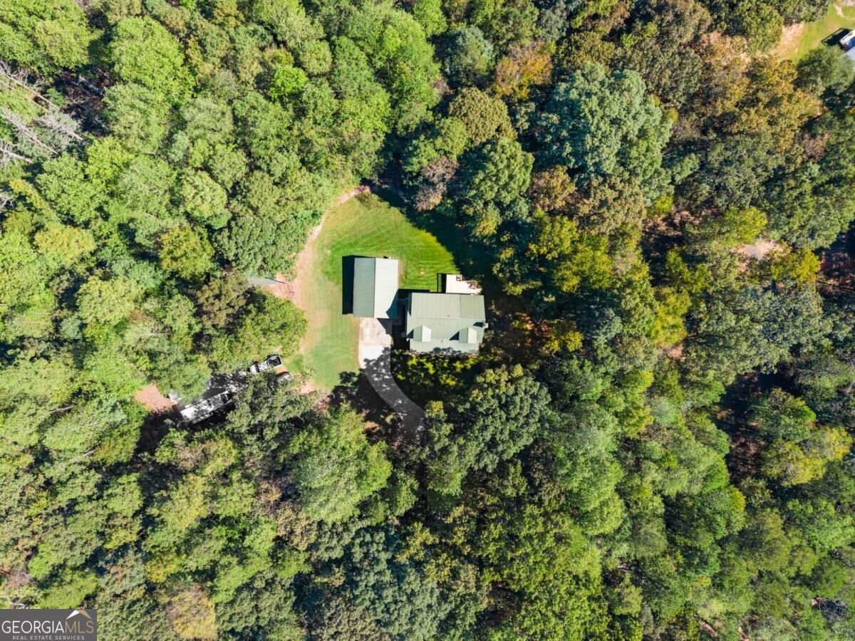 1120 Ridgewood Drive Pendergrass - Photo 54