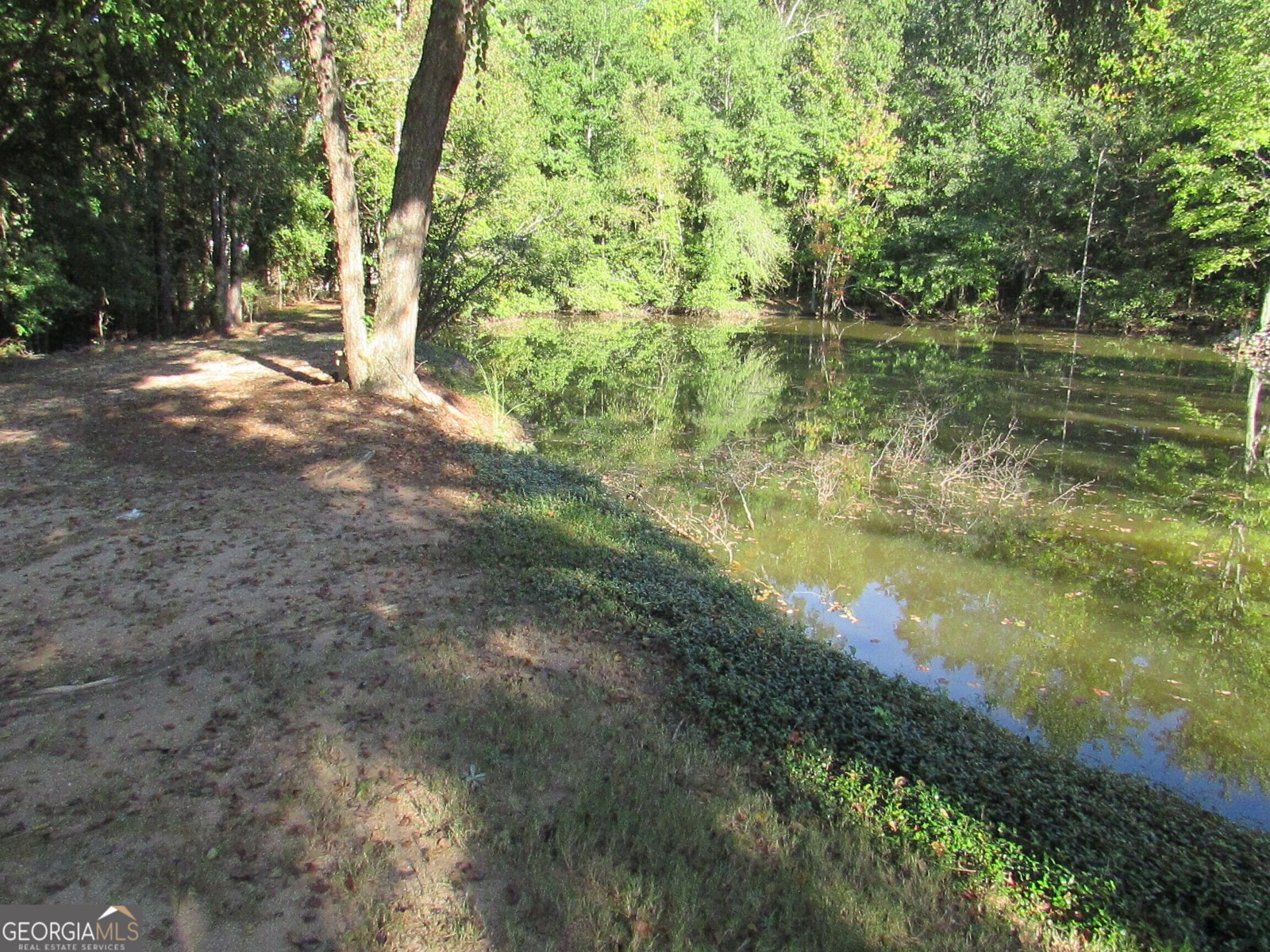 104 Garden Walk Stockbridge - Photo 36