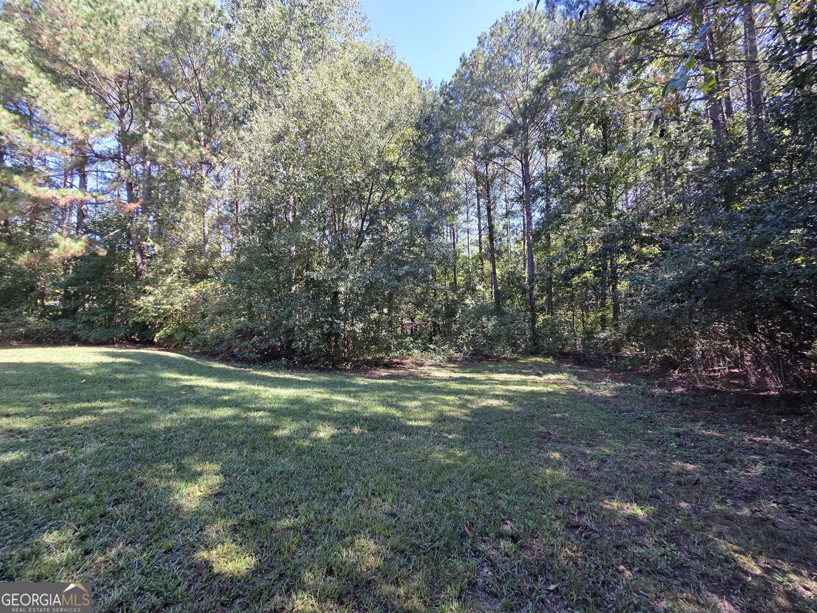 801 Pointe Trail Locust Grove - Photo 7