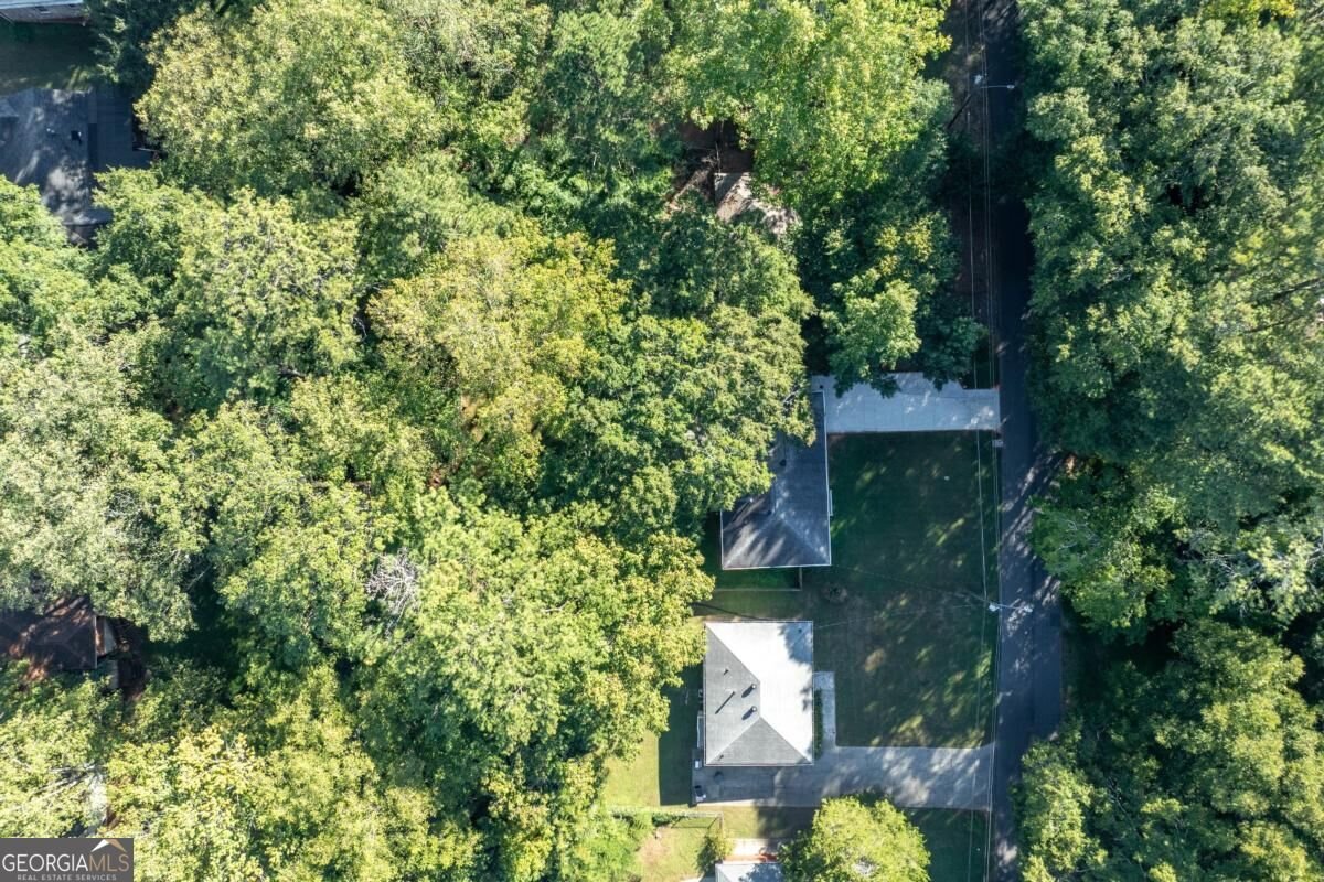 169 Herbert Drive Marietta - Photo 46