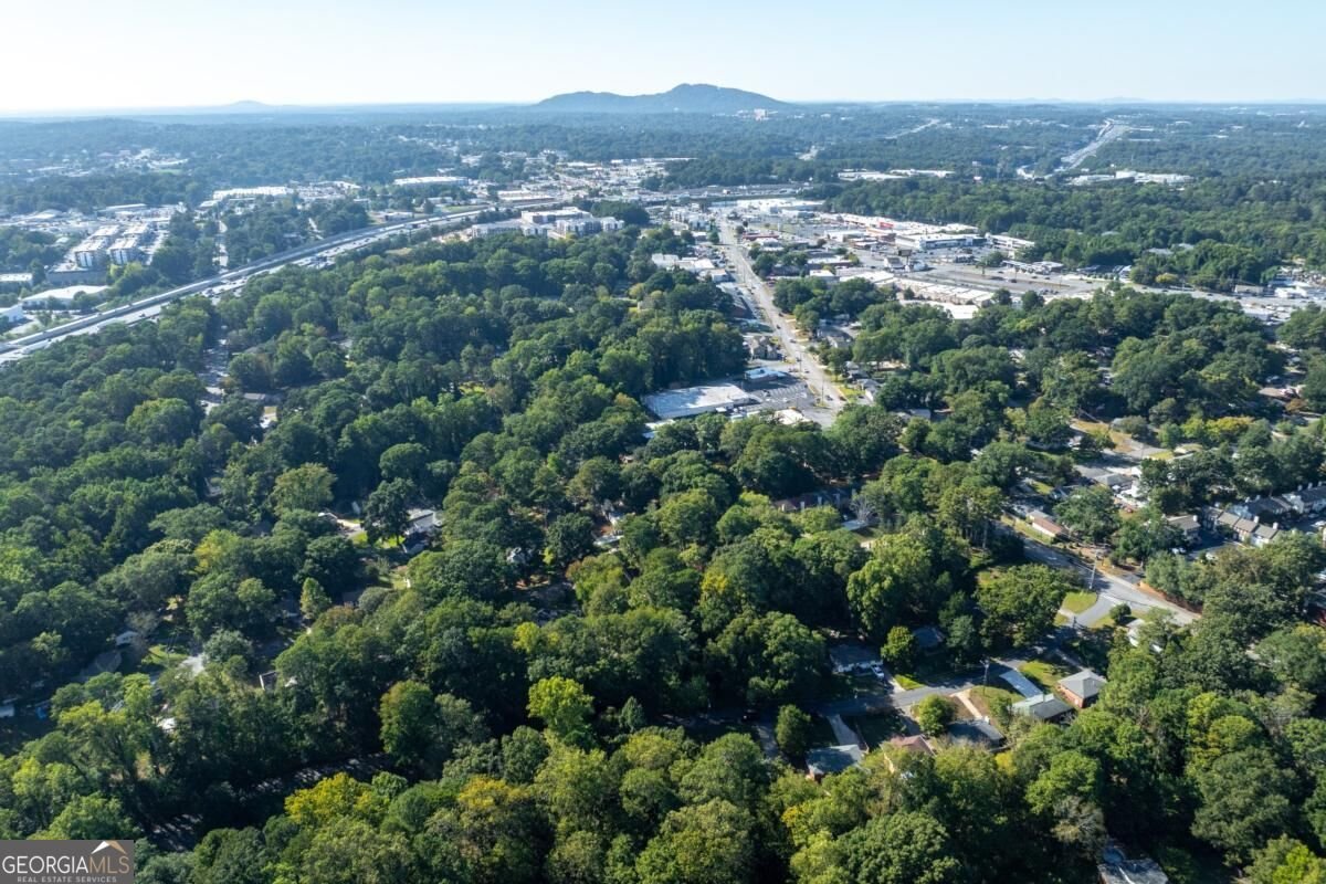 169 Herbert Drive Marietta - Photo 48