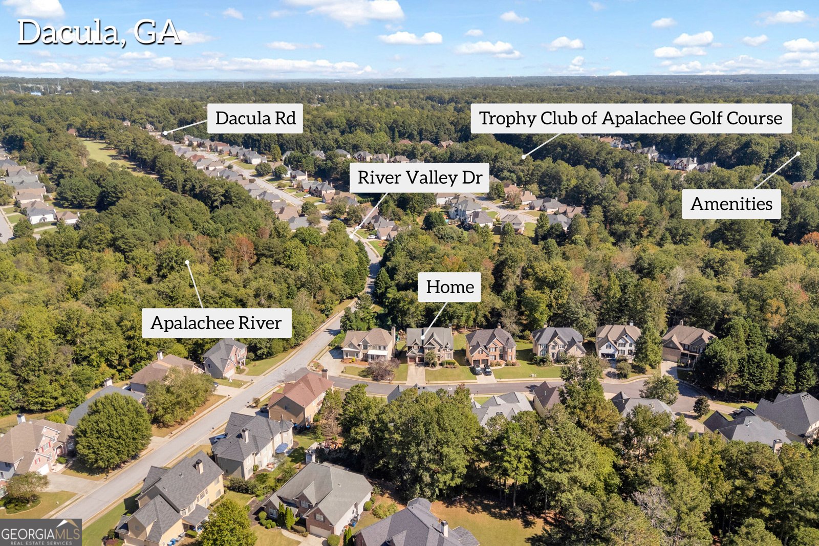 757 Laurel West Court Dacula - Photo 71