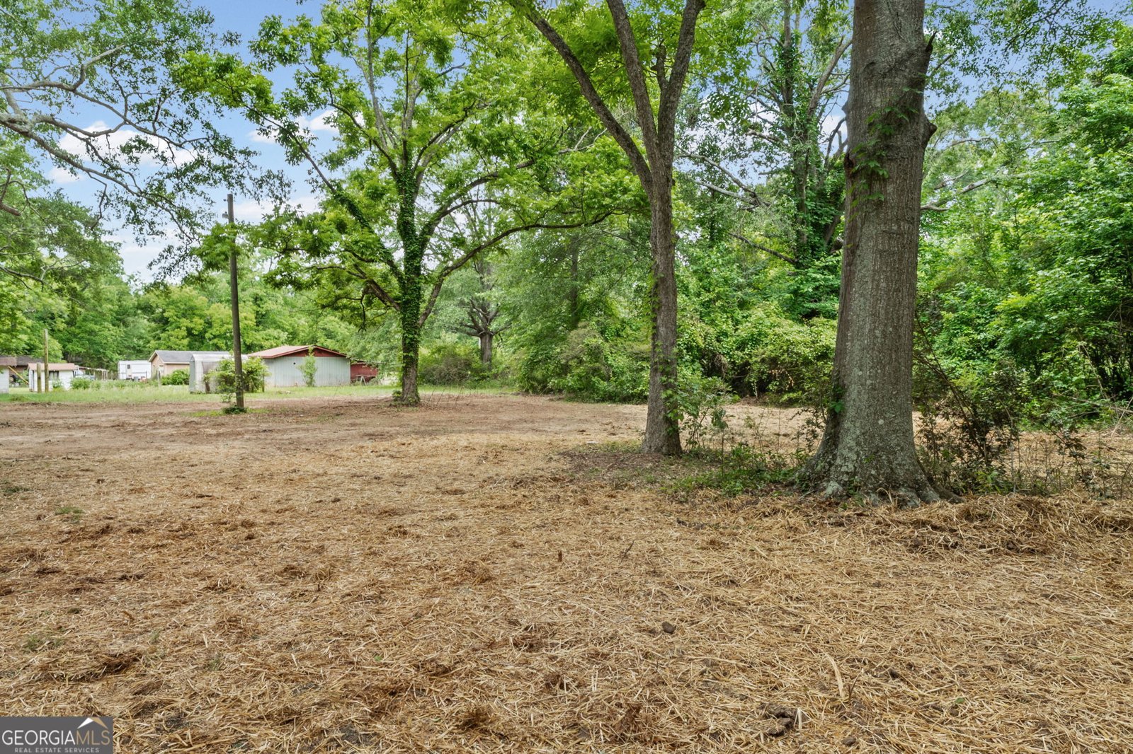 101 Vineyard Road Griffin - Photo 26
