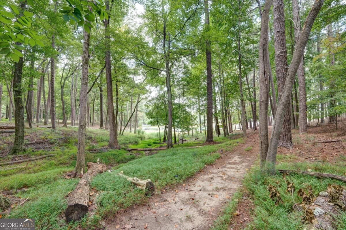 6090 Shadburn Ferry Road Buford - Photo 30