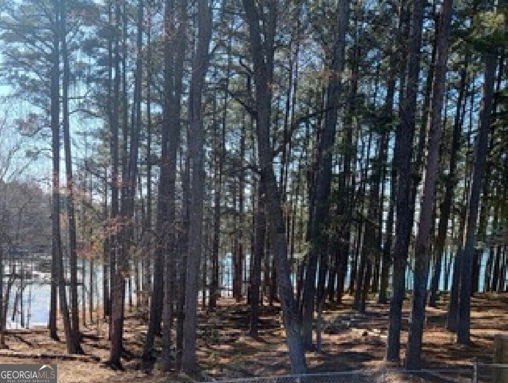 6090 Shadburn Ferry Road Buford - Photo 32