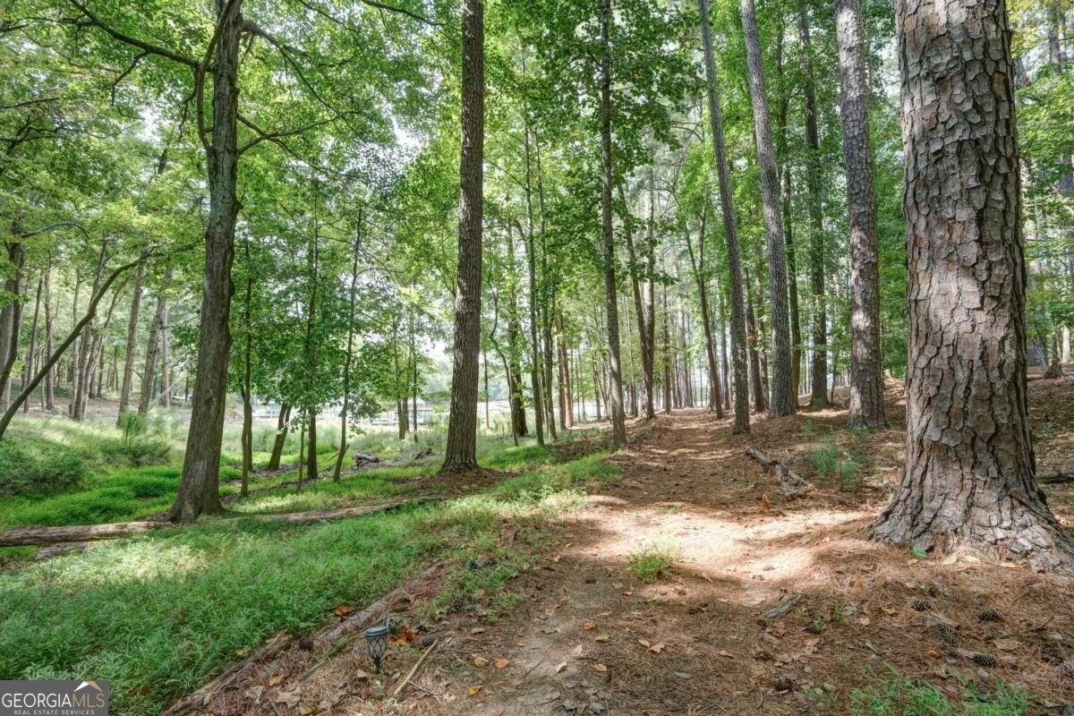 6090 Shadburn Ferry Road Buford - Photo 33