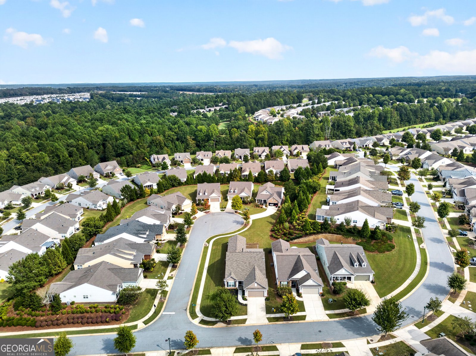 819 Firefly Court Griffin - Photo 46