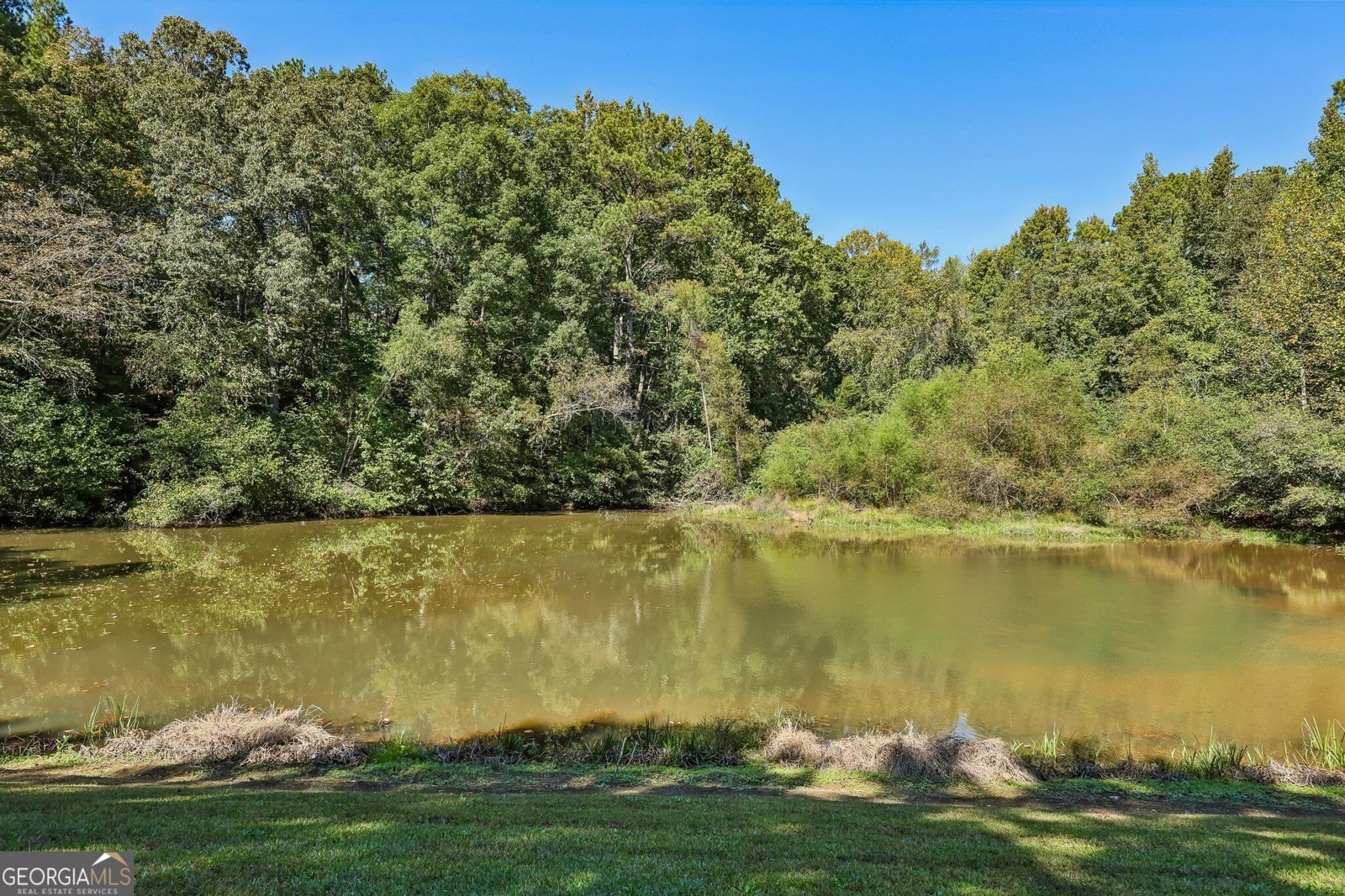 1102 Forest Creek Drive Canton - Photo 52