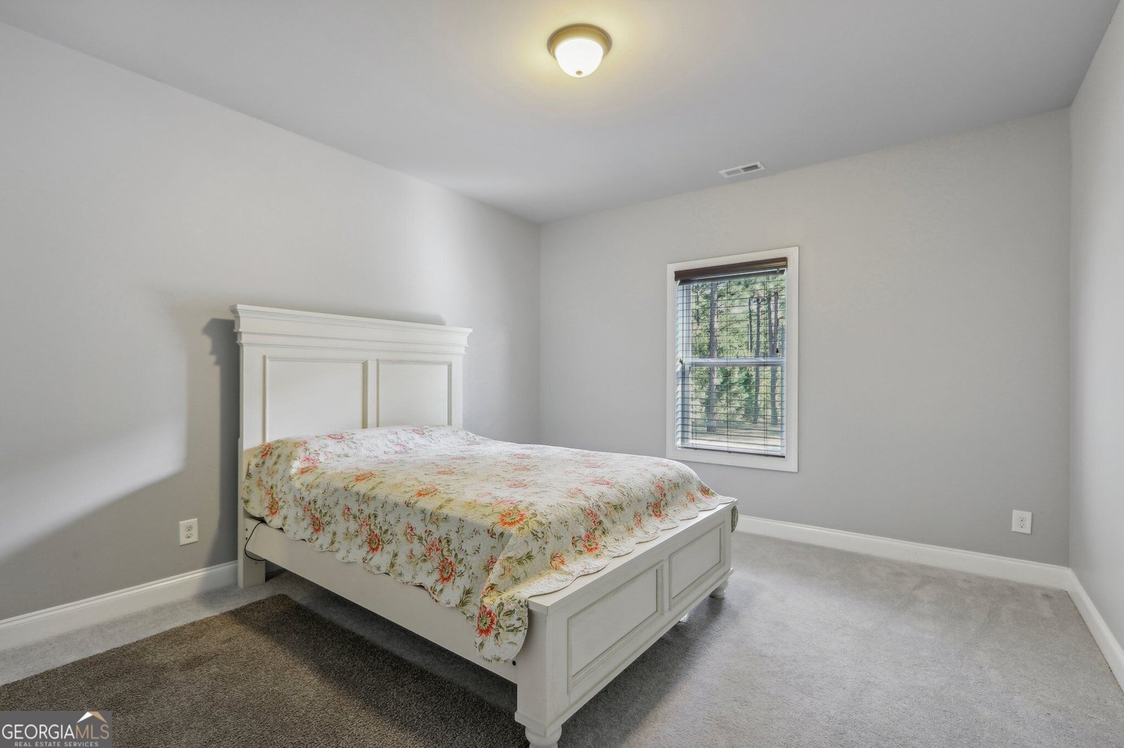 55 Fox Hall Crossing Senoia - Photo 23