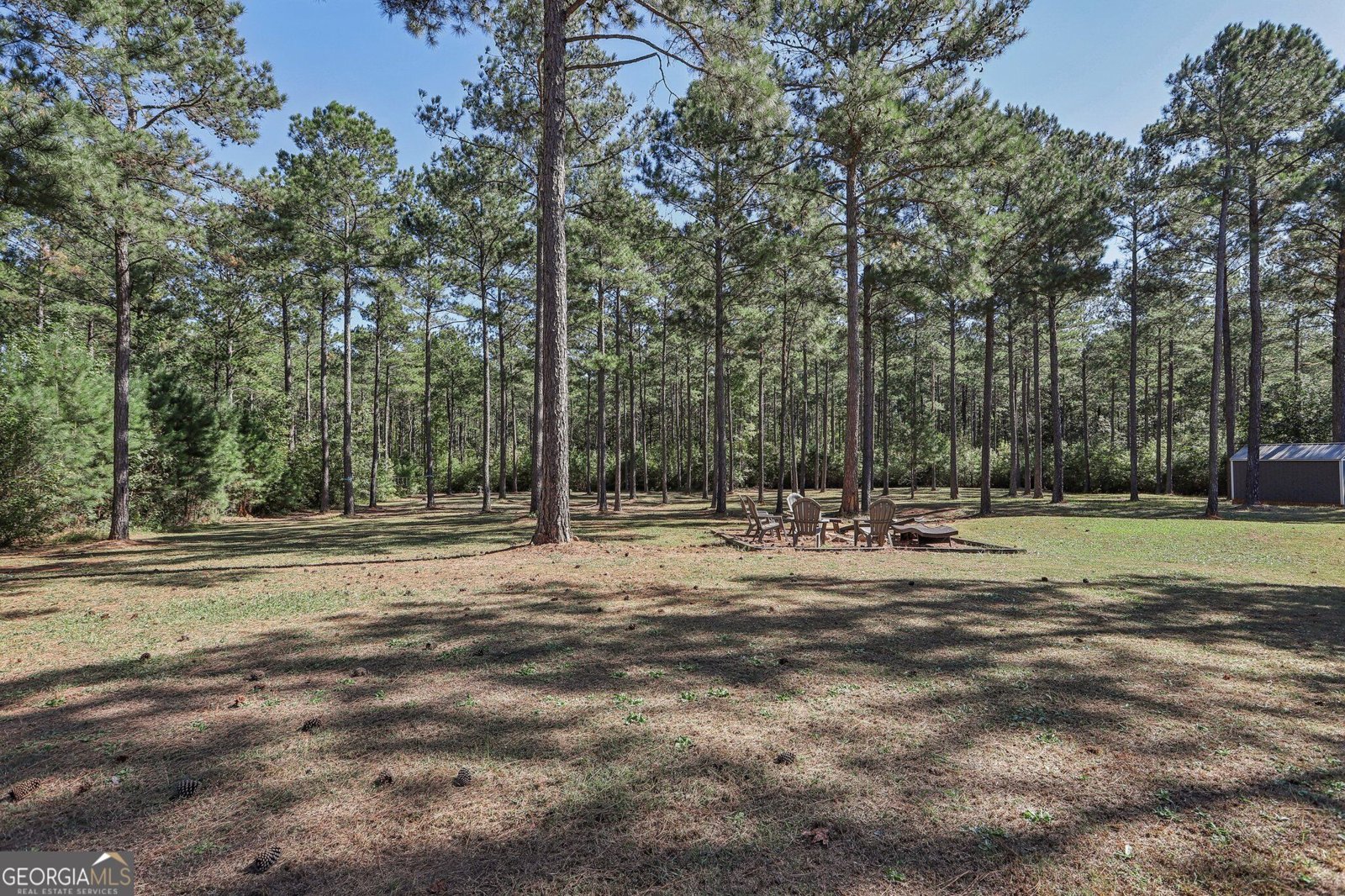 55 Fox Hall Crossing Senoia - Photo 59