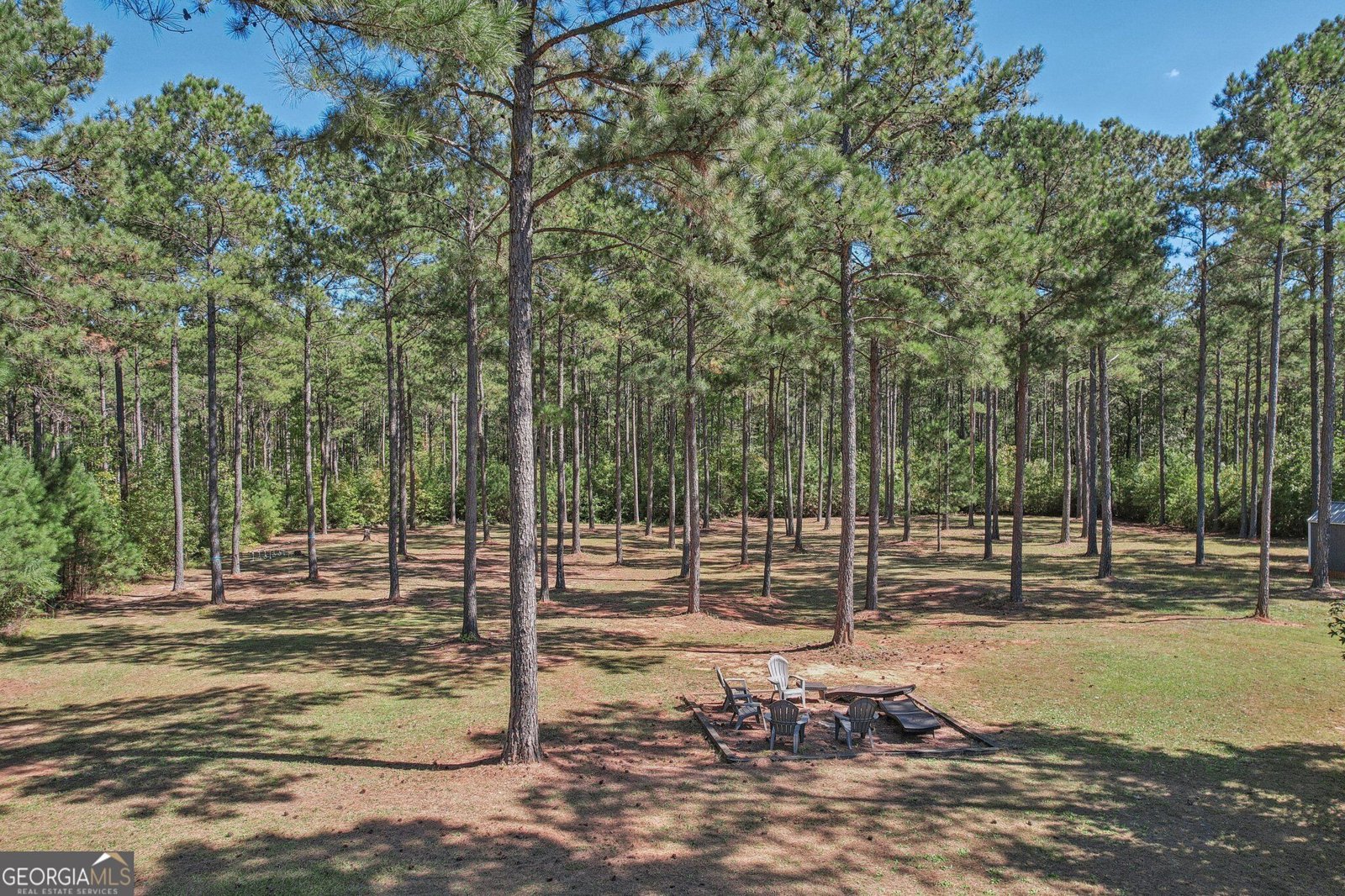 55 Fox Hall Crossing Senoia - Photo 69