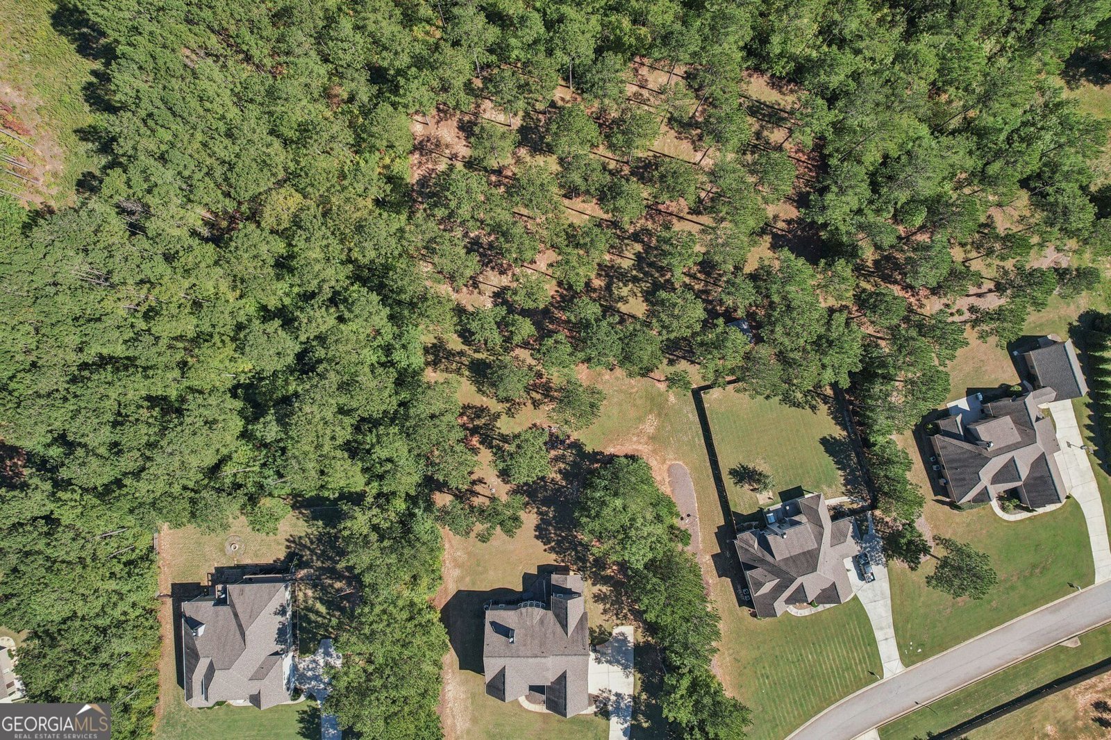 55 Fox Hall Crossing Senoia - Photo 70