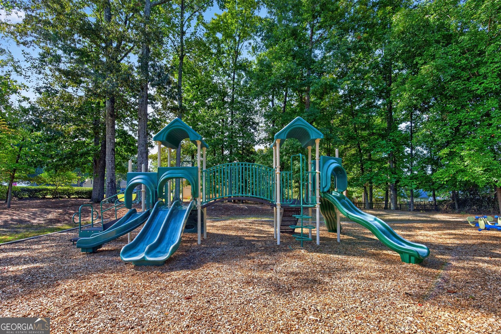 115 Hunterian Place Newnan - Photo 45