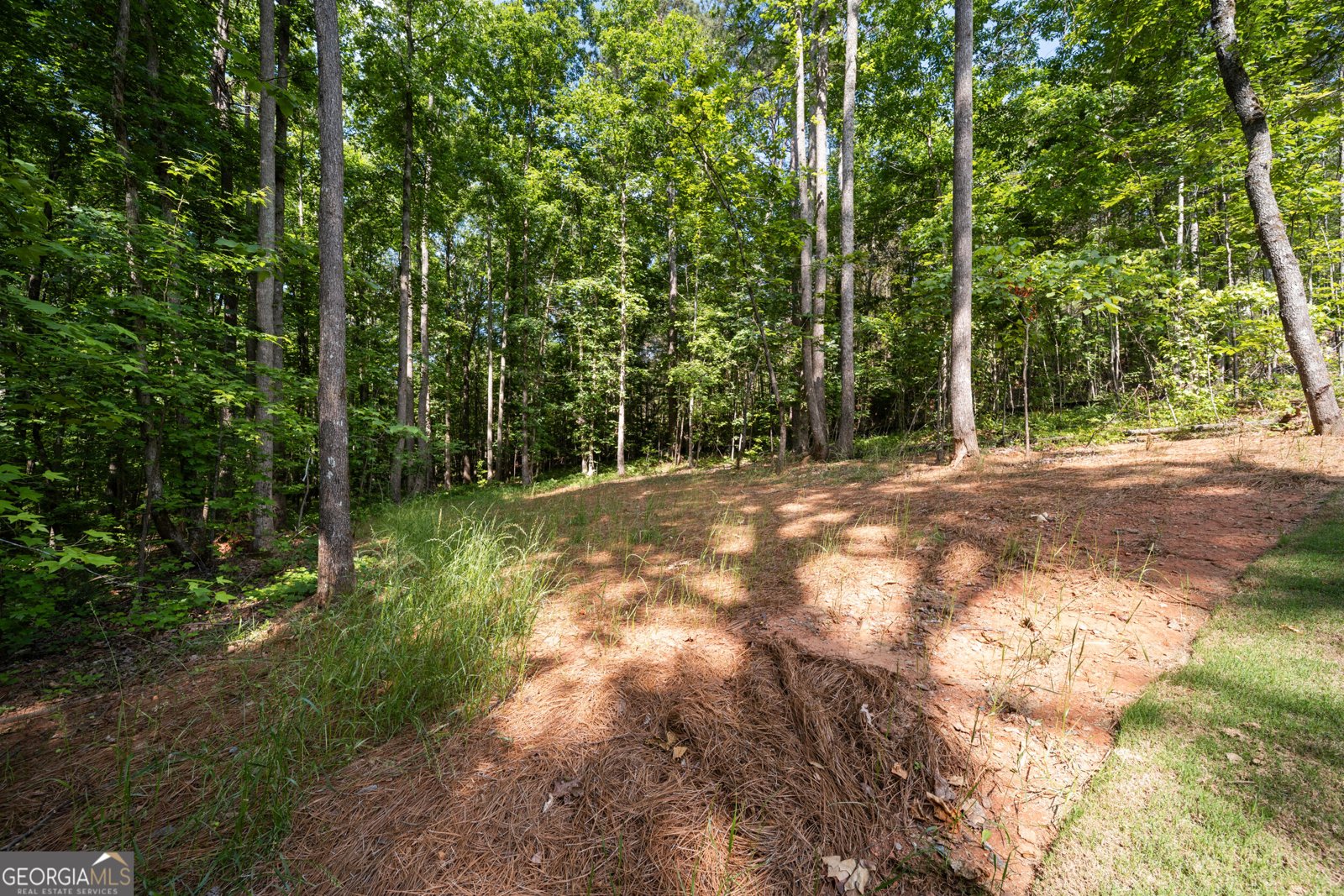 101 Attwater Circle Dawsonville - Photo 52