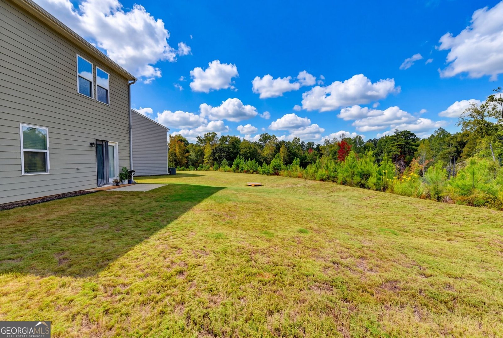 304 Coronado Drive Locust Grove - Photo 60