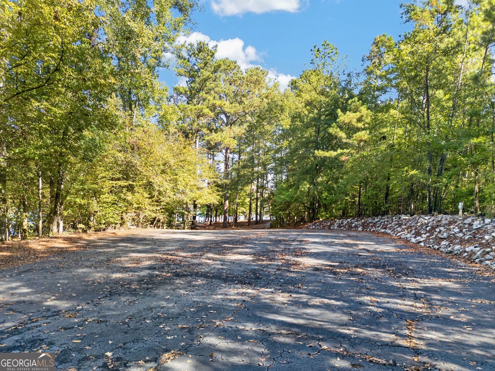 122 Jordan Drive Lizella - Photo 72