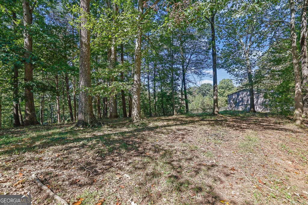 167 Nugget Ridge Road Dawsonville - Photo 33