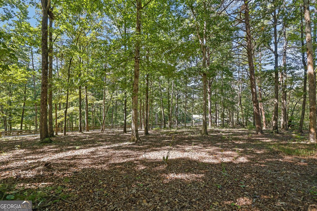 167 Nugget Ridge Road Dawsonville - Photo 34