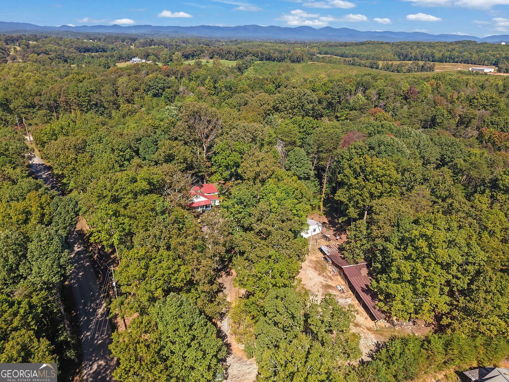 167 Nugget Ridge Road Dawsonville - Photo 48