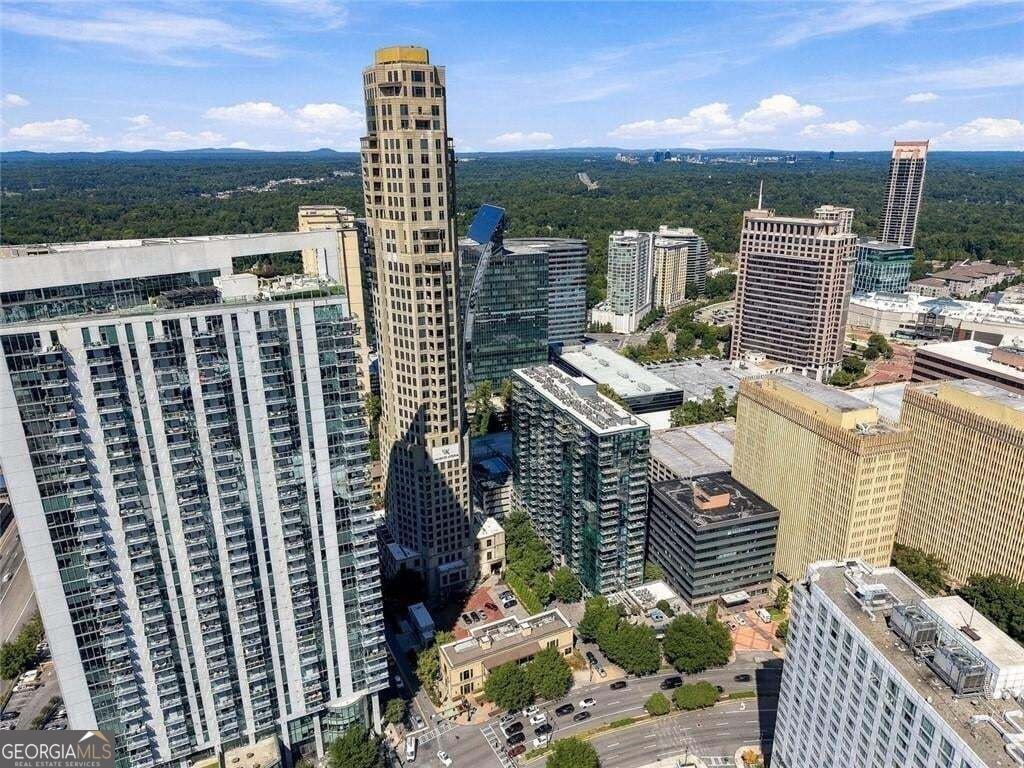 3376 Peachtree Road Atlanta - Photo 35