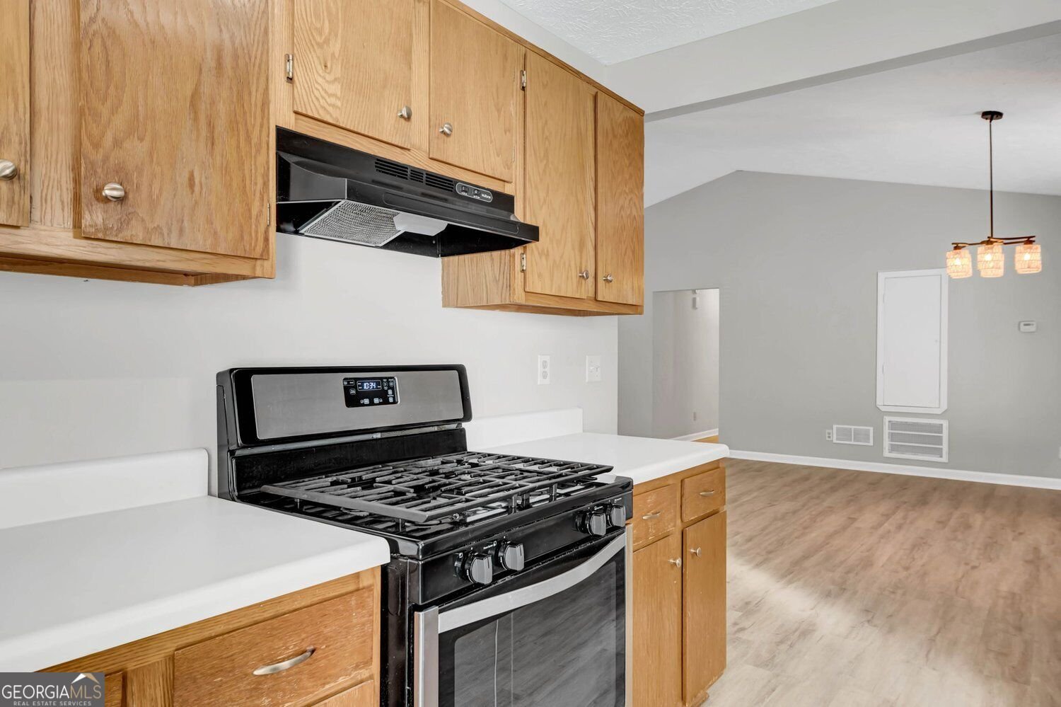 219 Colony Springs Drive Woodstock - Photo 11