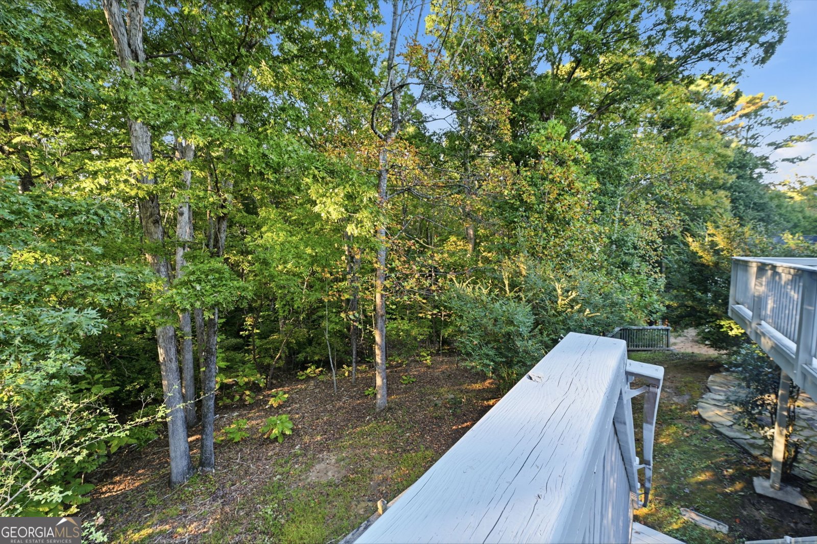 536 Blue Mountain Canton - Photo 34