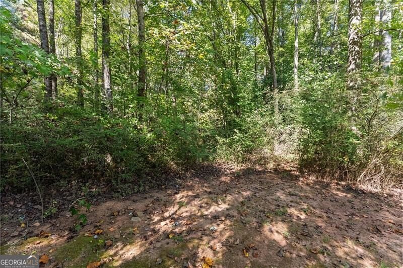 5256 Cantrell Circle Cumming - Photo 53