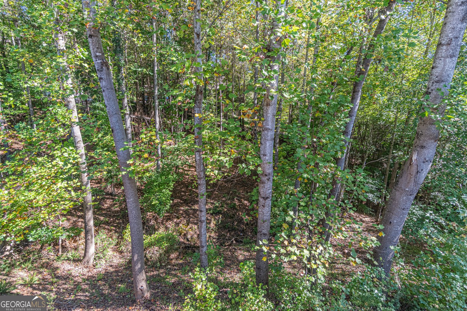 3401 Country Lane Gainesville - Photo 51