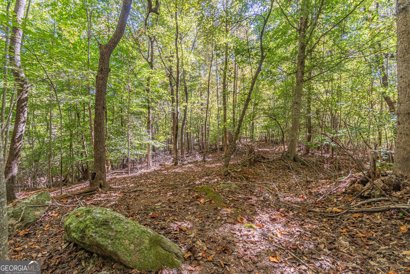 3401 Country Lane Gainesville - Photo 54