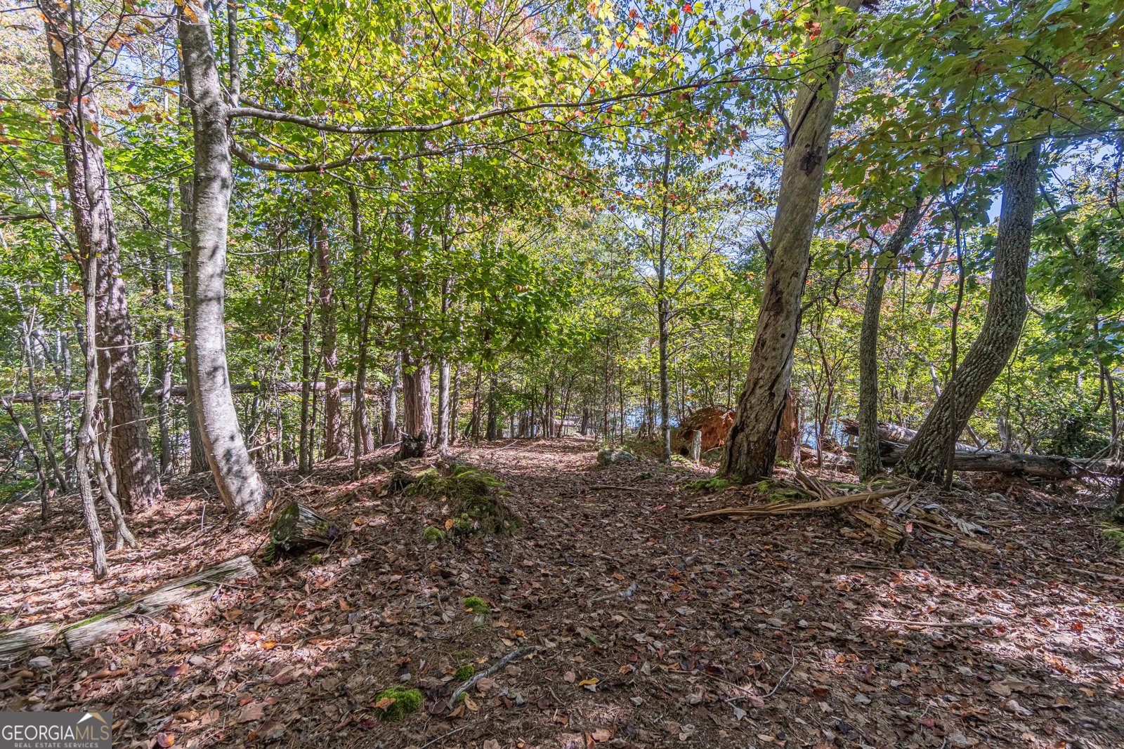3401 Country Lane Gainesville - Photo 55