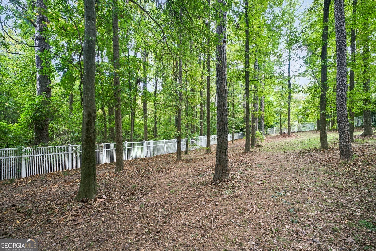 2634 Ivy Plantation Drive Buford - Photo 56