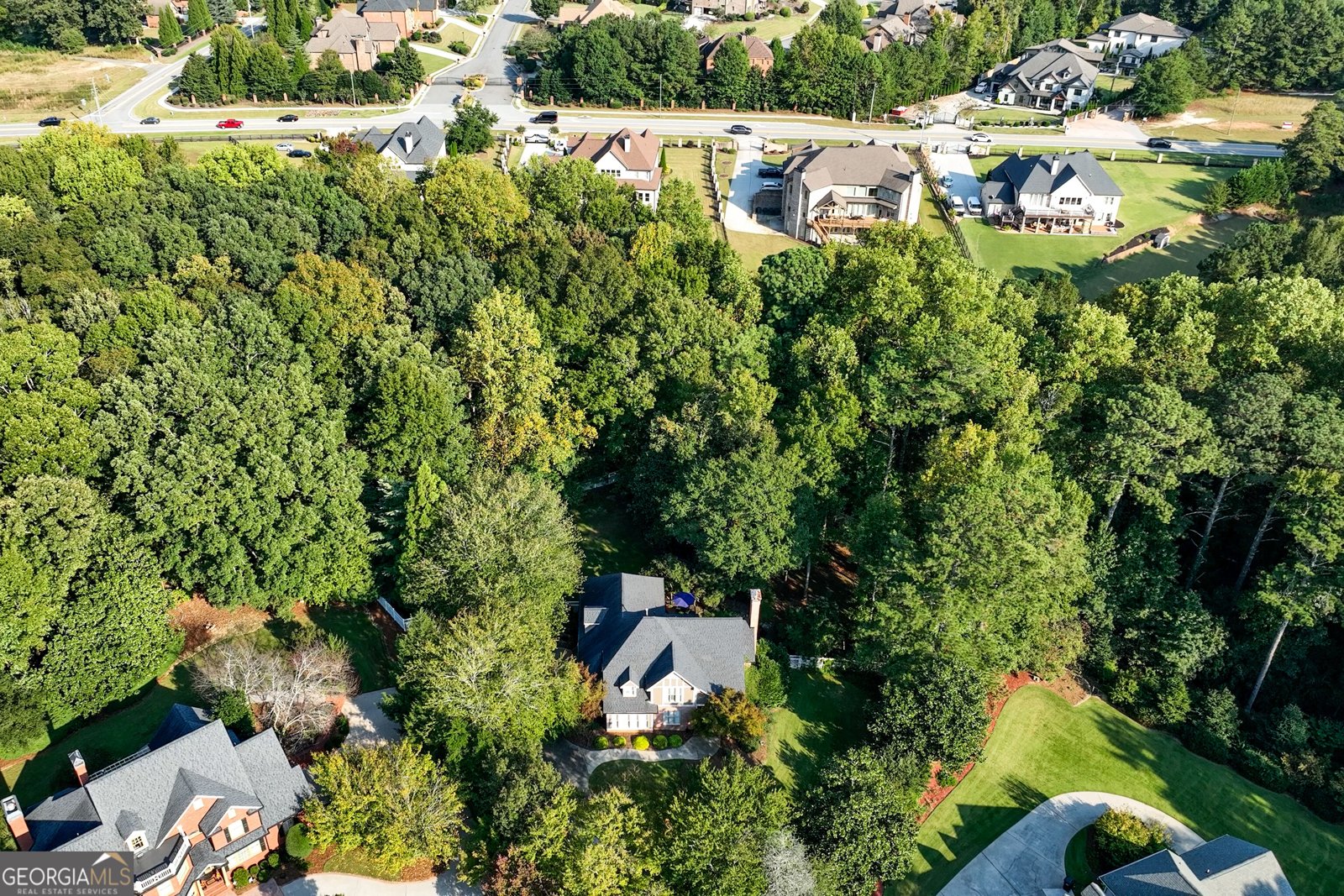 2634 Ivy Plantation Drive Buford - Photo 71