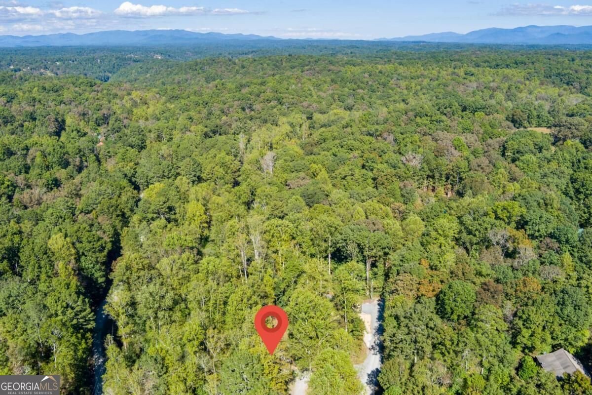 15 Padget Lane Ellijay - Photo 42