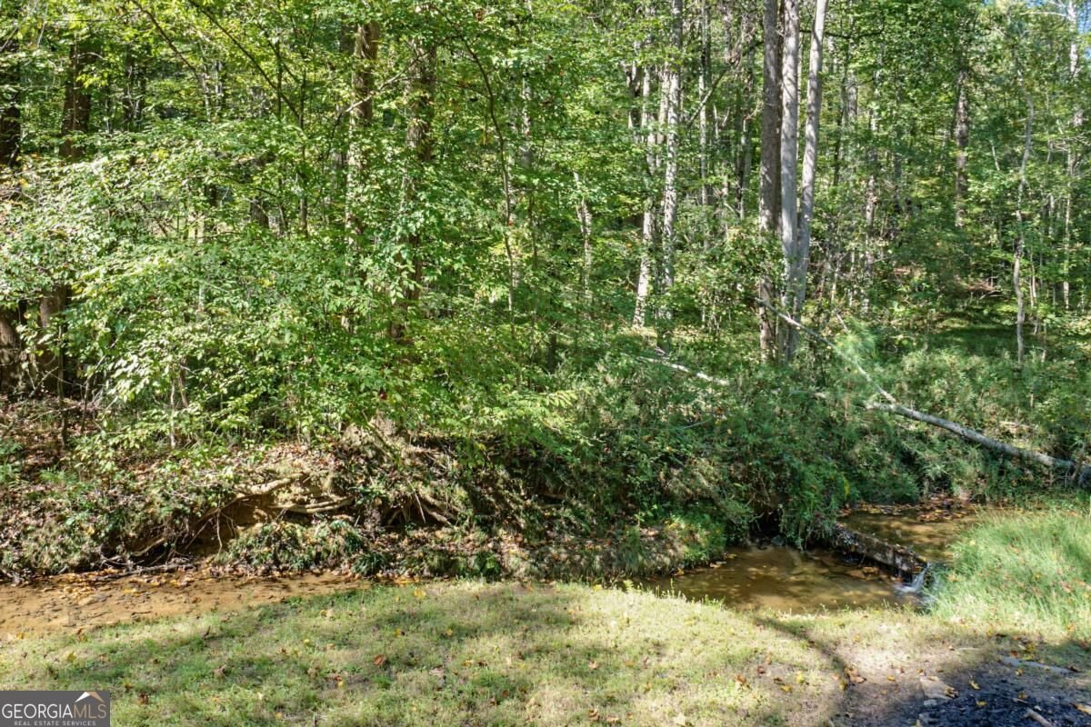15 Padget Lane Ellijay - Photo 45