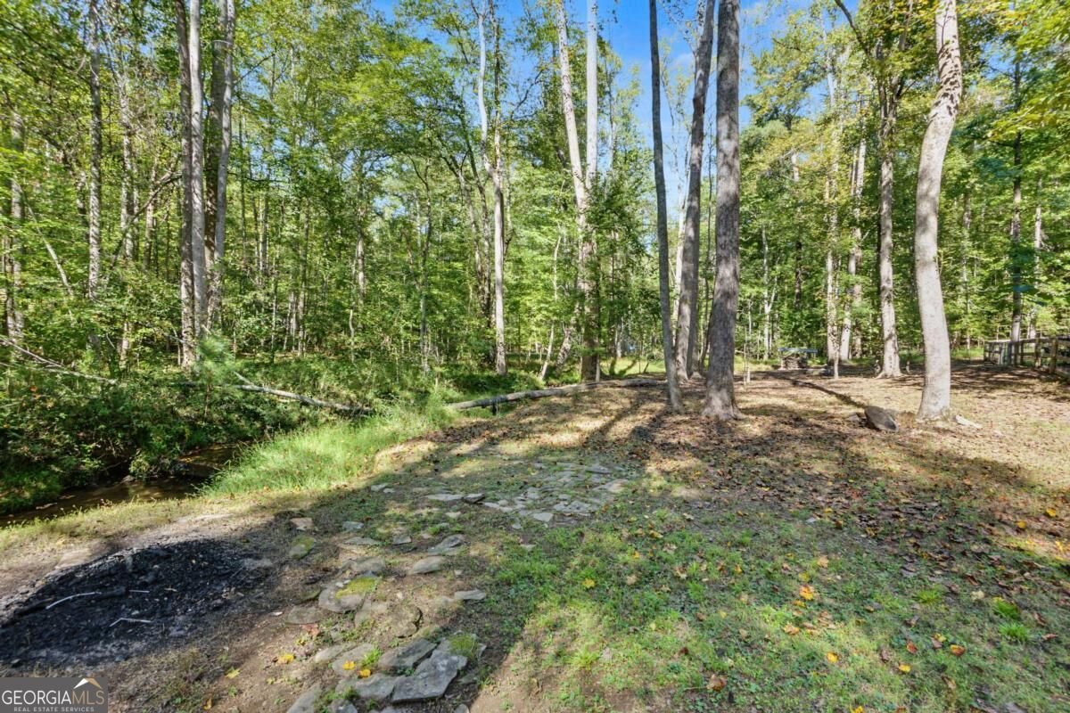 15 Padget Lane Ellijay - Photo 46