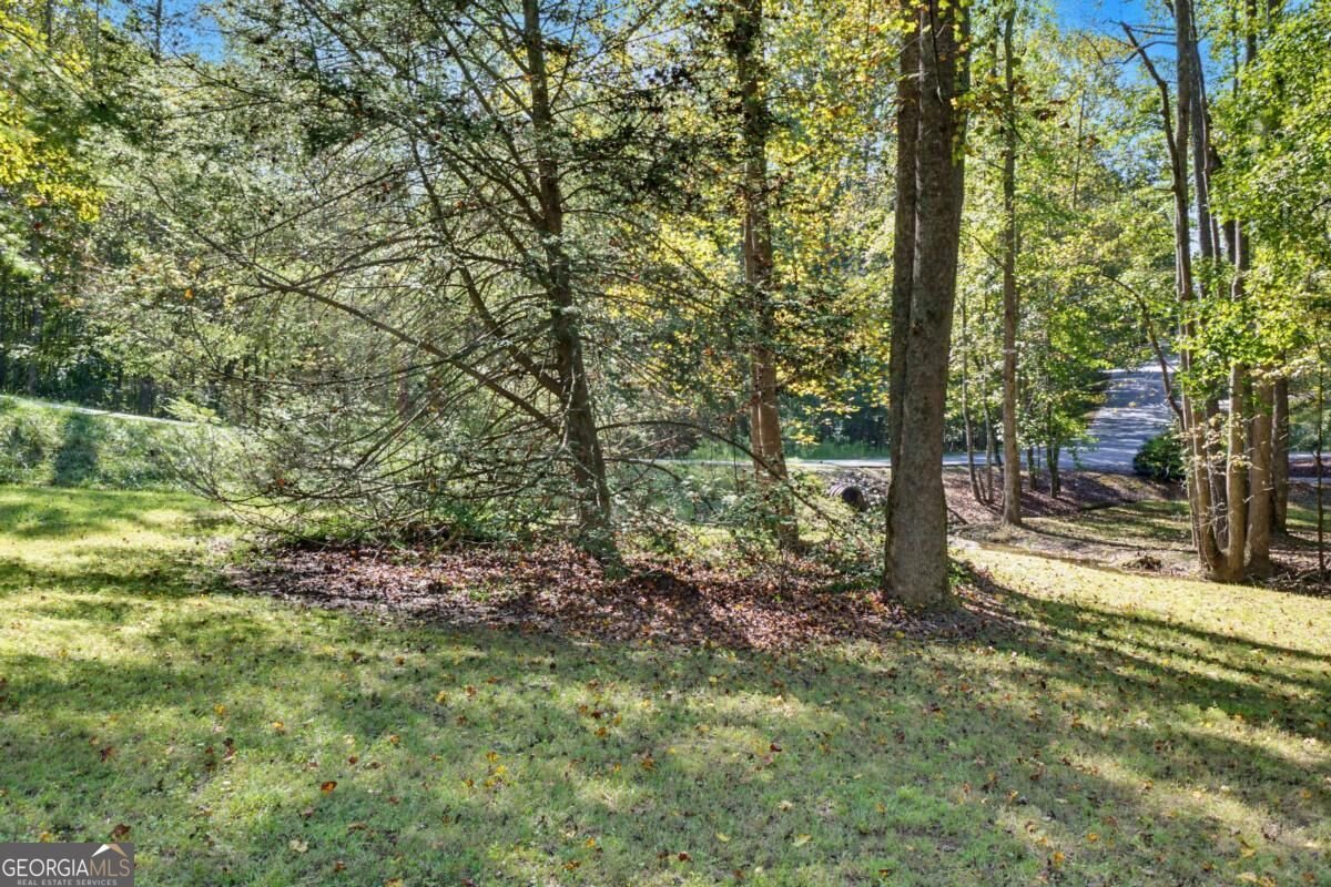 15 Padget Lane Ellijay - Photo 47